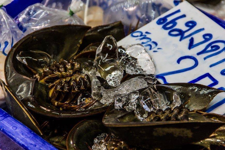 Сколько стоят морепродукты в паттайе - всё о тайланде
