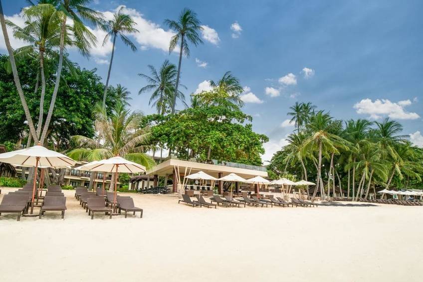 Лучшие отели на самуи на пляже: королевский комфорт и уют на острове в таиланде