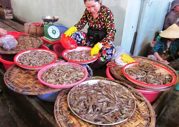 Сколько стоит еда во вьетнаме – исследуем этот вопрос в нячанге экзотик