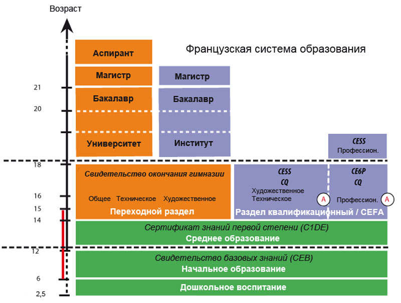 Проект система образования в россии и германии