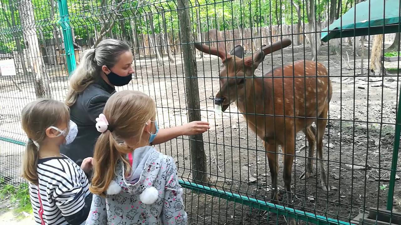 Зоопарк гамбурга/hagenbecks tierpark - страна мам