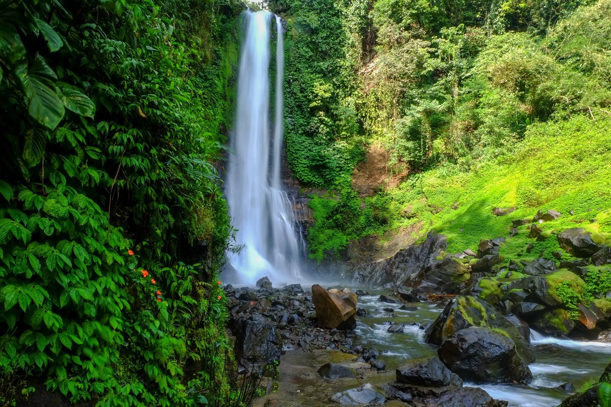 Лучшие водопады бали: описание, фото, как добраться