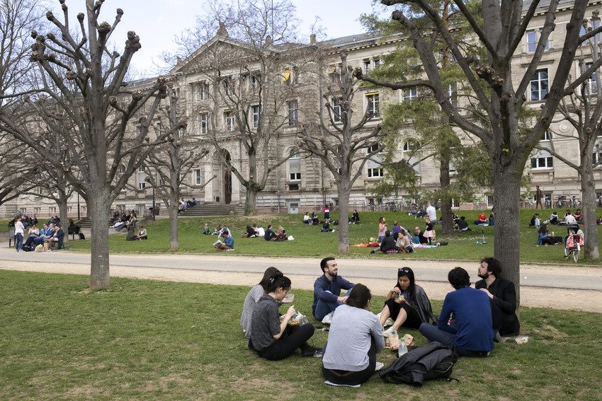 Обучение во франции