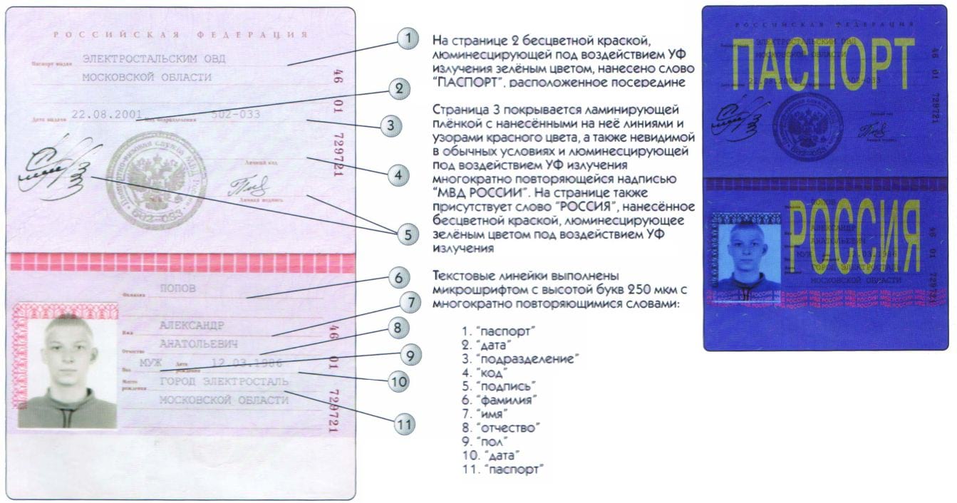 Проверка паспорта на действительность (подлинность): как проверить? - народный советникъ