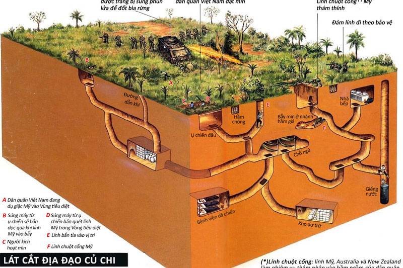 How to get to cu chi tunnels - a complete guide - to travel too