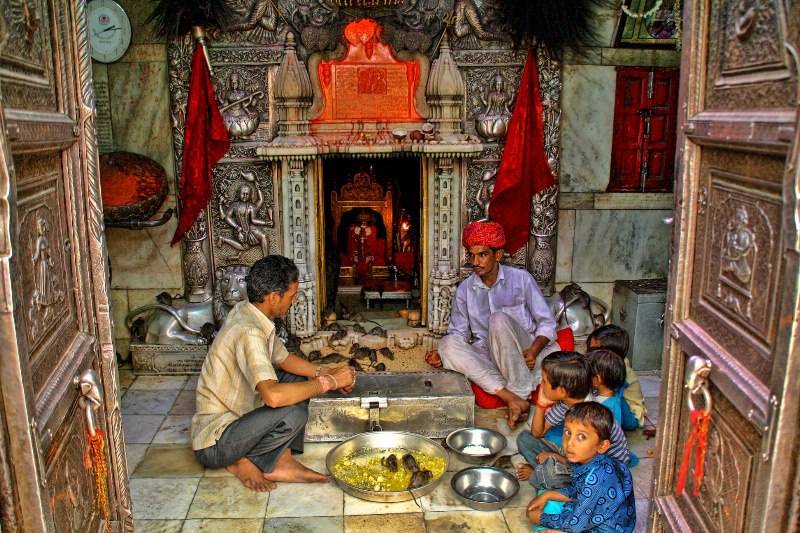 Карни мата - храм крыс в индии