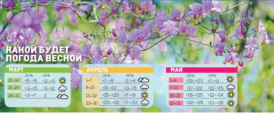 Сезон в таиланде — когда лучше ехать