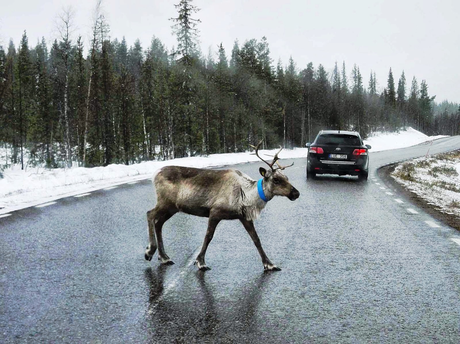Как съездить в Финляндию на машине
