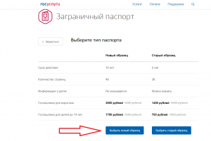 Сколько стоит загранпаспорт старого образца на 5 лет через госуслуги