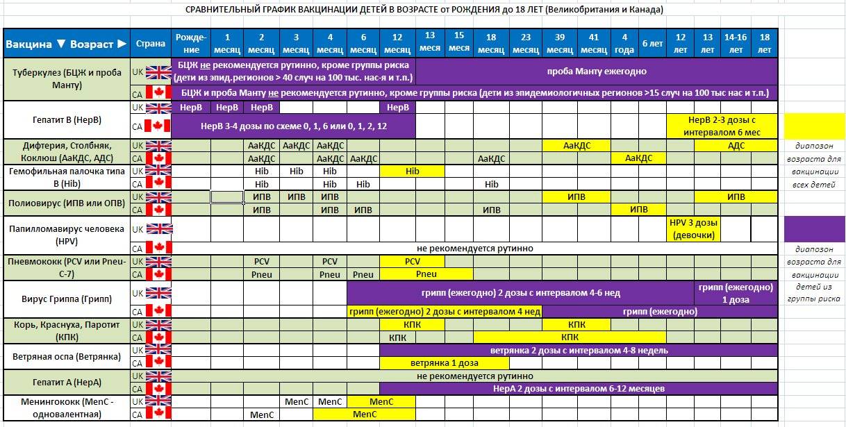 Сколько раз ставят. Манту прививка график вакцинации. График прививок манту по возрасту таблица. БЦЖ прививка график вакцинации таблица. График прививок манту в школе.