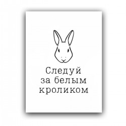 Как снимали первую матрицу и в чём её феномен