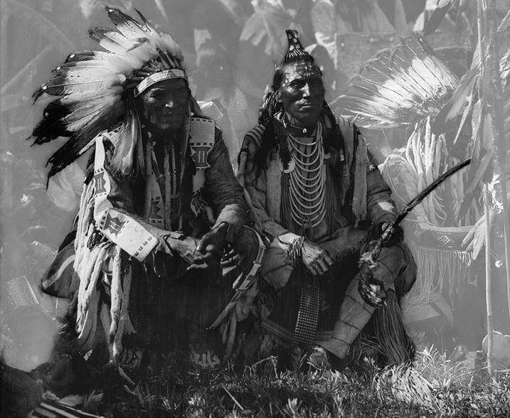 Индейцы северной америки: пытки, партизаны, каннибализм и политика