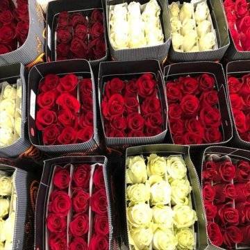 Можно ли вывозить цветы из таиланда