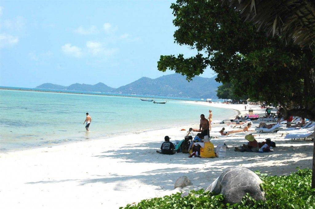 Остров самуи: лучшие пляжи, отели и особенности отдыха