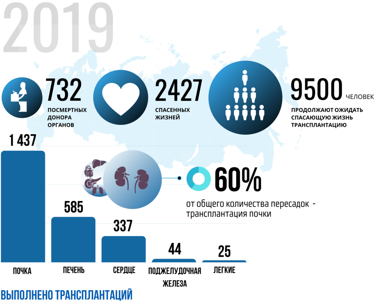 Международные данные. Статистика трансплантации органов. Трансплантация в России статистика. Трансплантология в России статистика. Трансплантология статистика в мире.