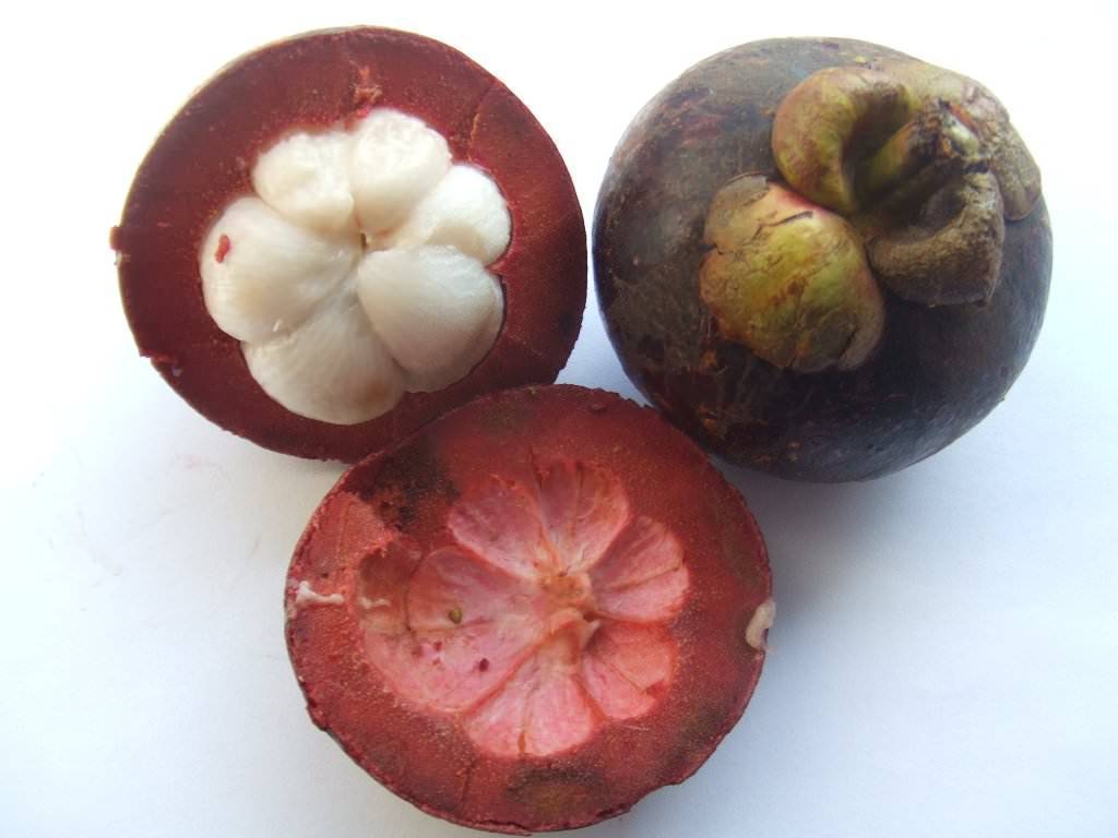 Расширяем вкусовые границы: фрукты тайланда с фото, названием и описанием