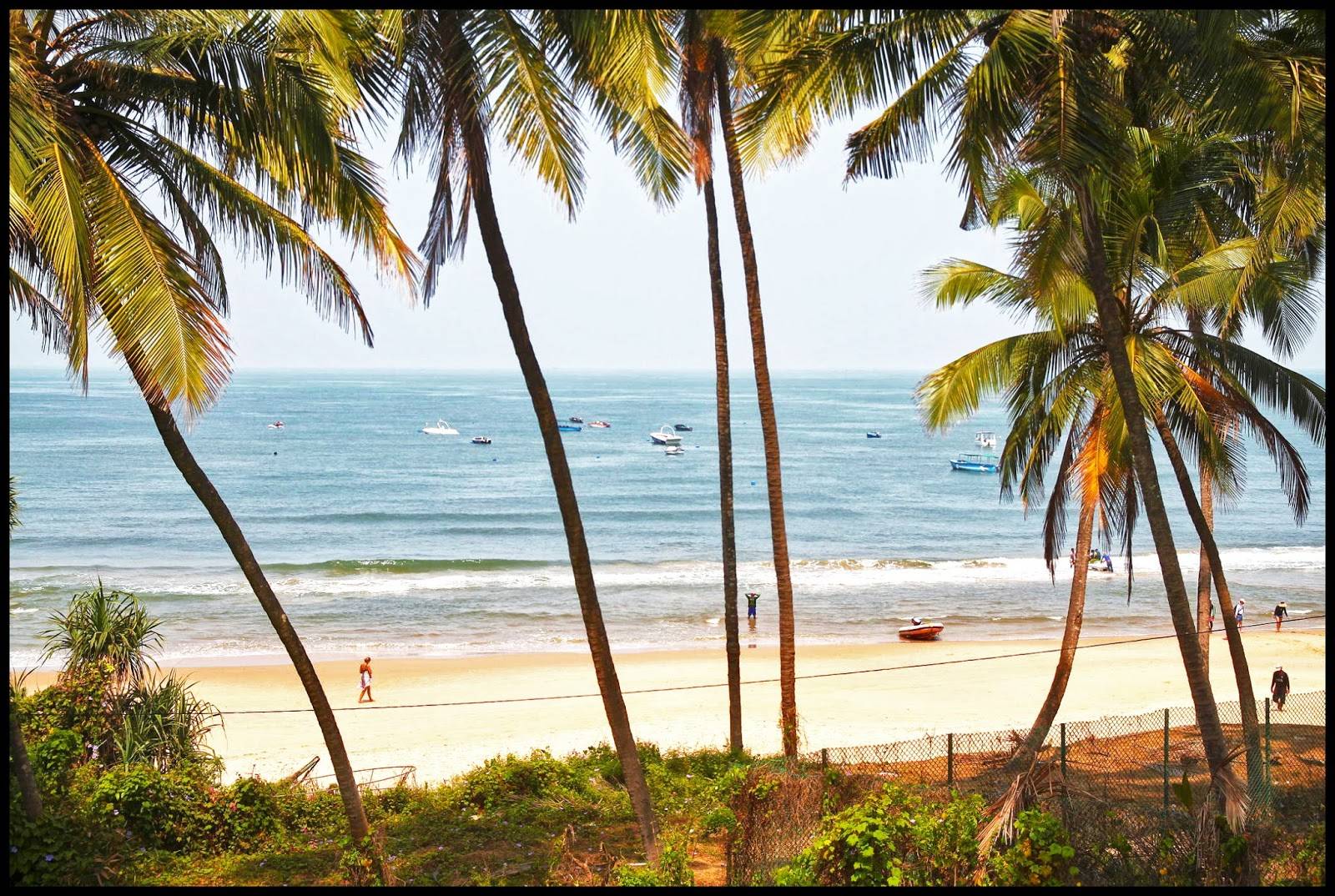 Пляж candolim, гоа (индия): история, фото, как добраться, адрес на карте и время работы в 2022 - 2023