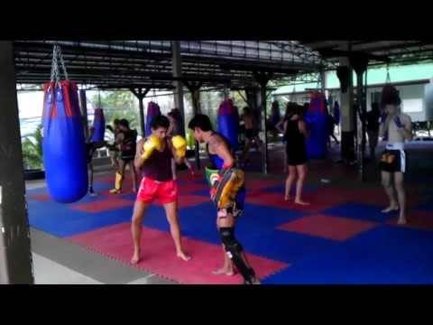 Что лучше тайский бокс или кикбоксинг - разбираем отличия