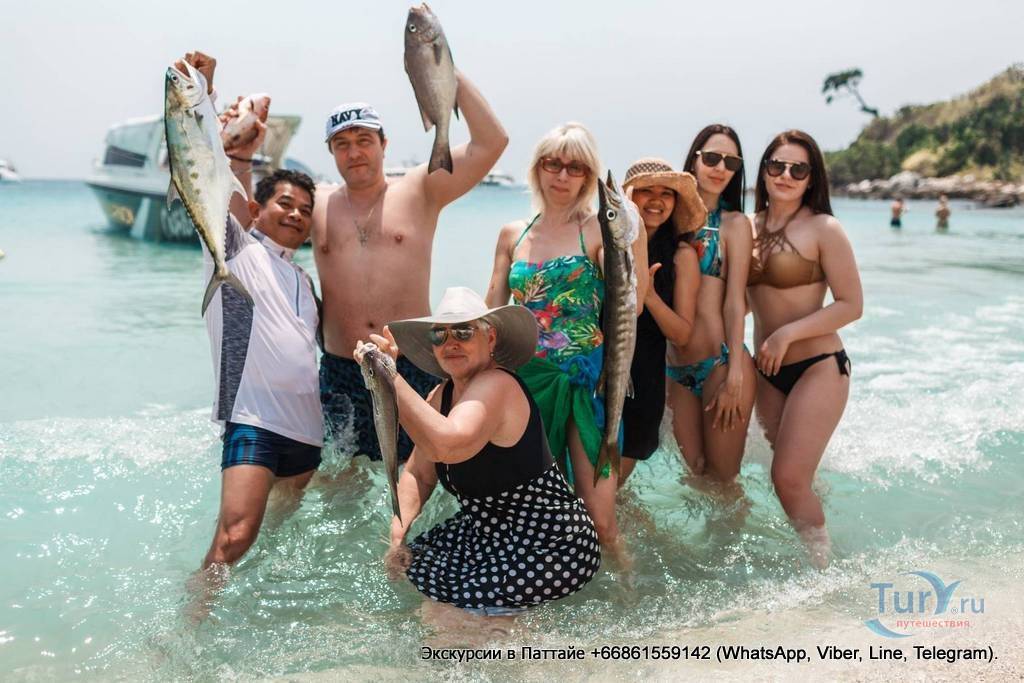 Сезон рыбалки в тайланде: в паттайе на пхукете или на самуи- где лучше? +видео