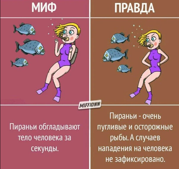 Мифы и правда картинка