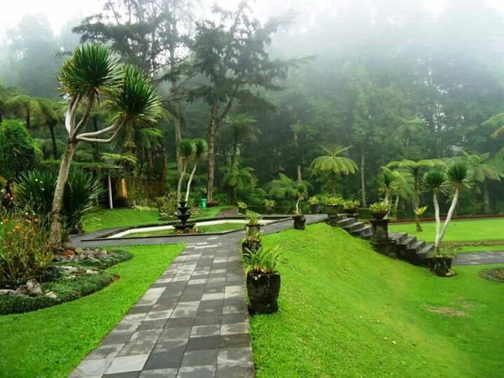Ботанический сад в бедугуле - волшебный лес, где живут эльфы и гномы.
