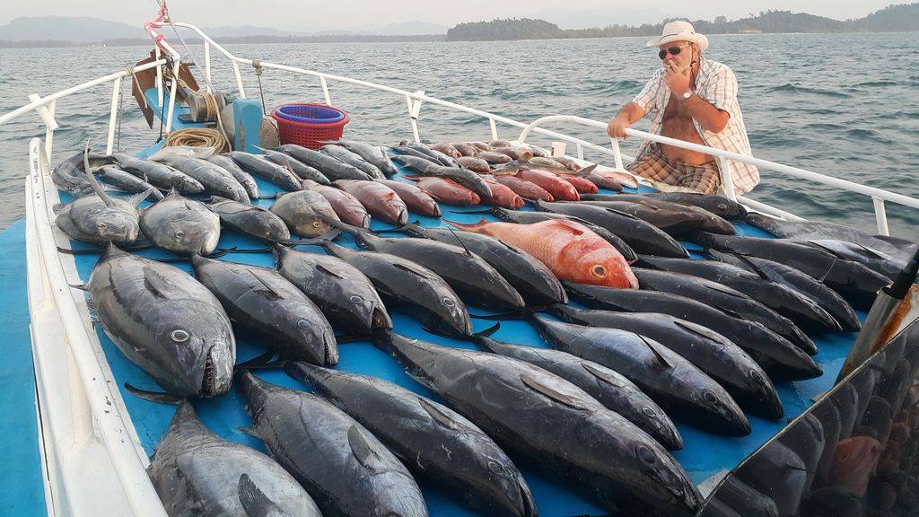 Видовое разнообразие рыбной ловли на пхукете- рыбалка в таиланде: обзор +видео