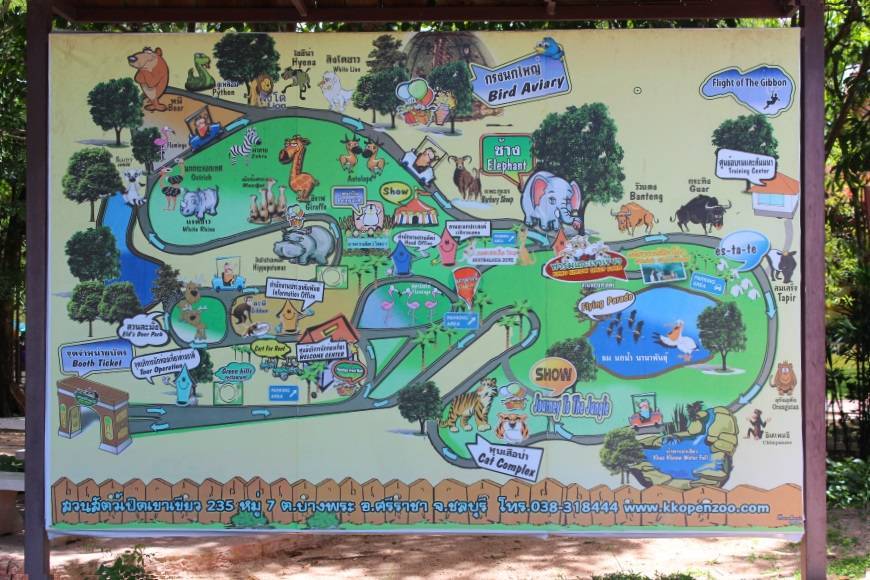 Зоопарк в паттайе: как самостоятельно добраться до кхао кхео и что говорят в отзывах туристы?