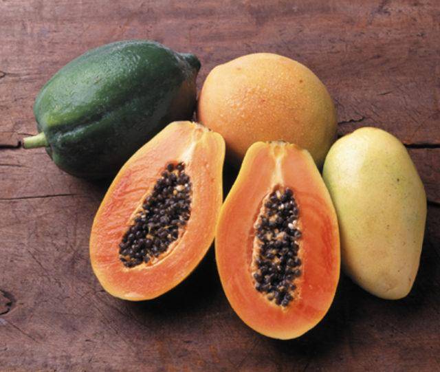 Папайя, полезные свойства. чем полезен фрукт для женщин и мужчин, калорийность папайя.