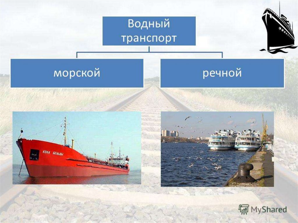 Водный транспорт примеры. Виды водного транспорта в России. Проект морской транспорт. Водный транспорт Речной и морской. Речной транспорт проект.