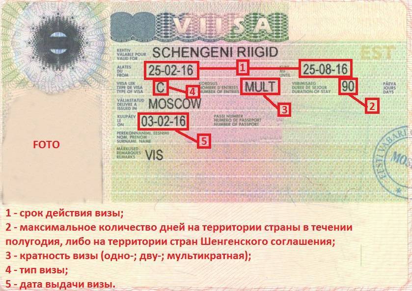 Сколько делается шенгенская виза: срочное оформление в 2023 году