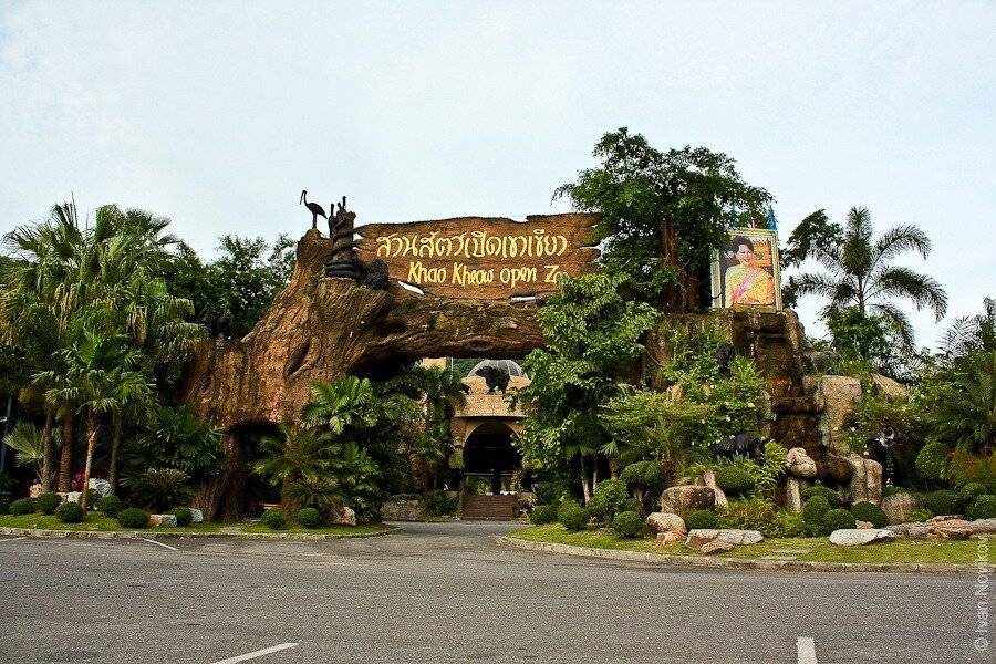 Зоопарк кхао кхео паттайя - подробный обзор. - разумный туризм