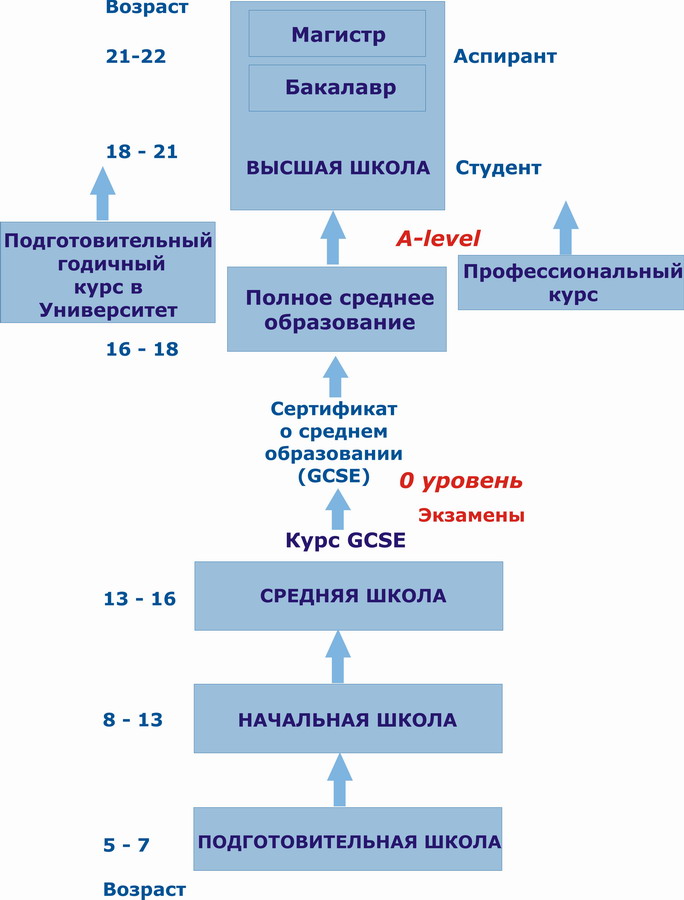 Система образования в россии схема на английском