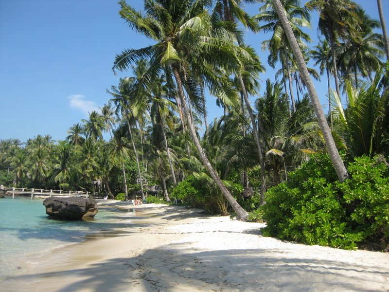 Экскурсии в паттайе: пляжный отдых, отдых на островах, морские приключения