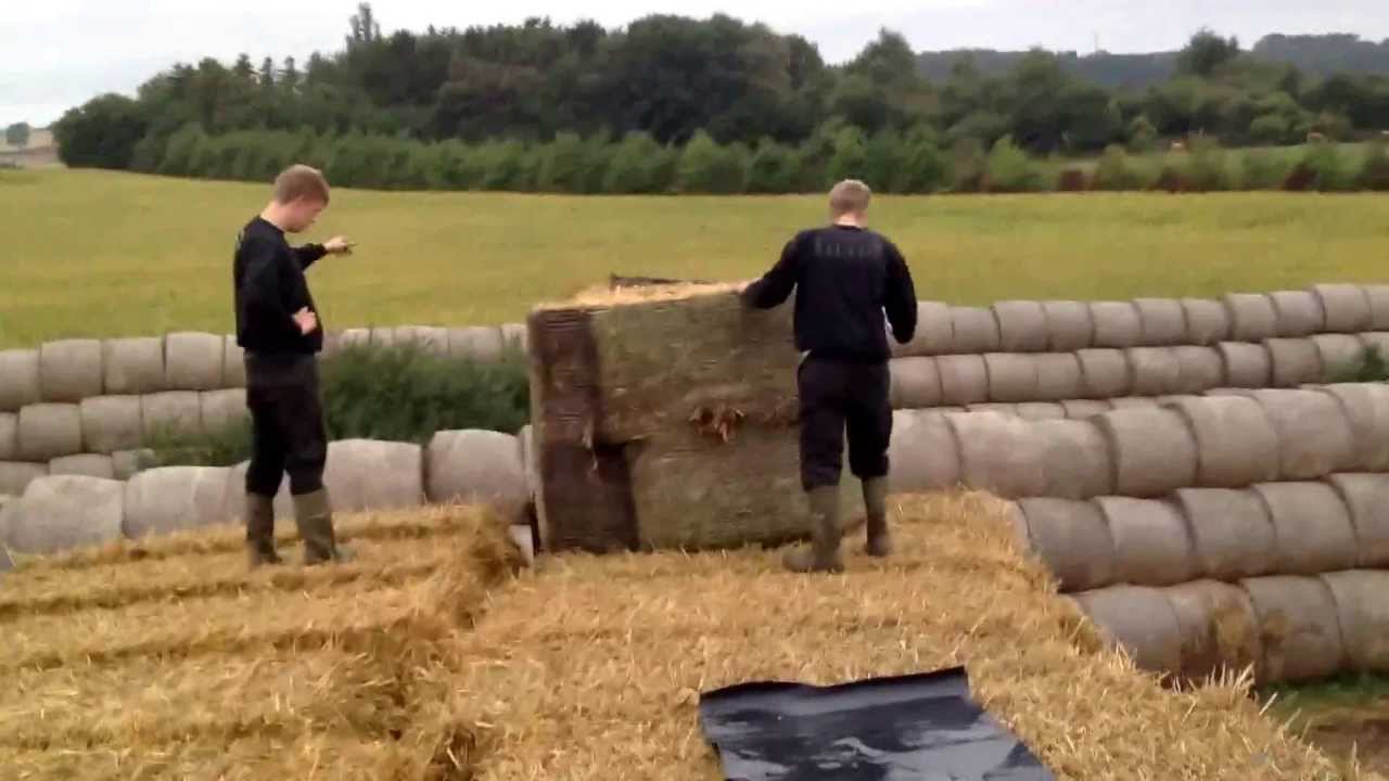 Год жизни в дании (часть 1)