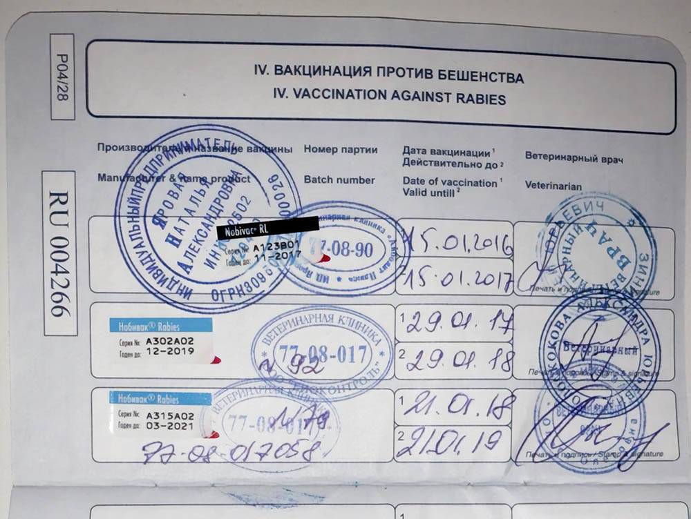 Казахстанцам разрешили летать в таиланд без карантинных ограничений | курсив - бизнес новости казахстана