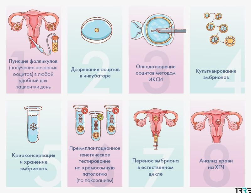 Эко в польше: особенности, преимущества, клиники