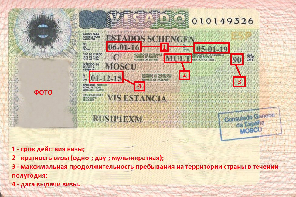 Как правильно читать шенгенскую визу?