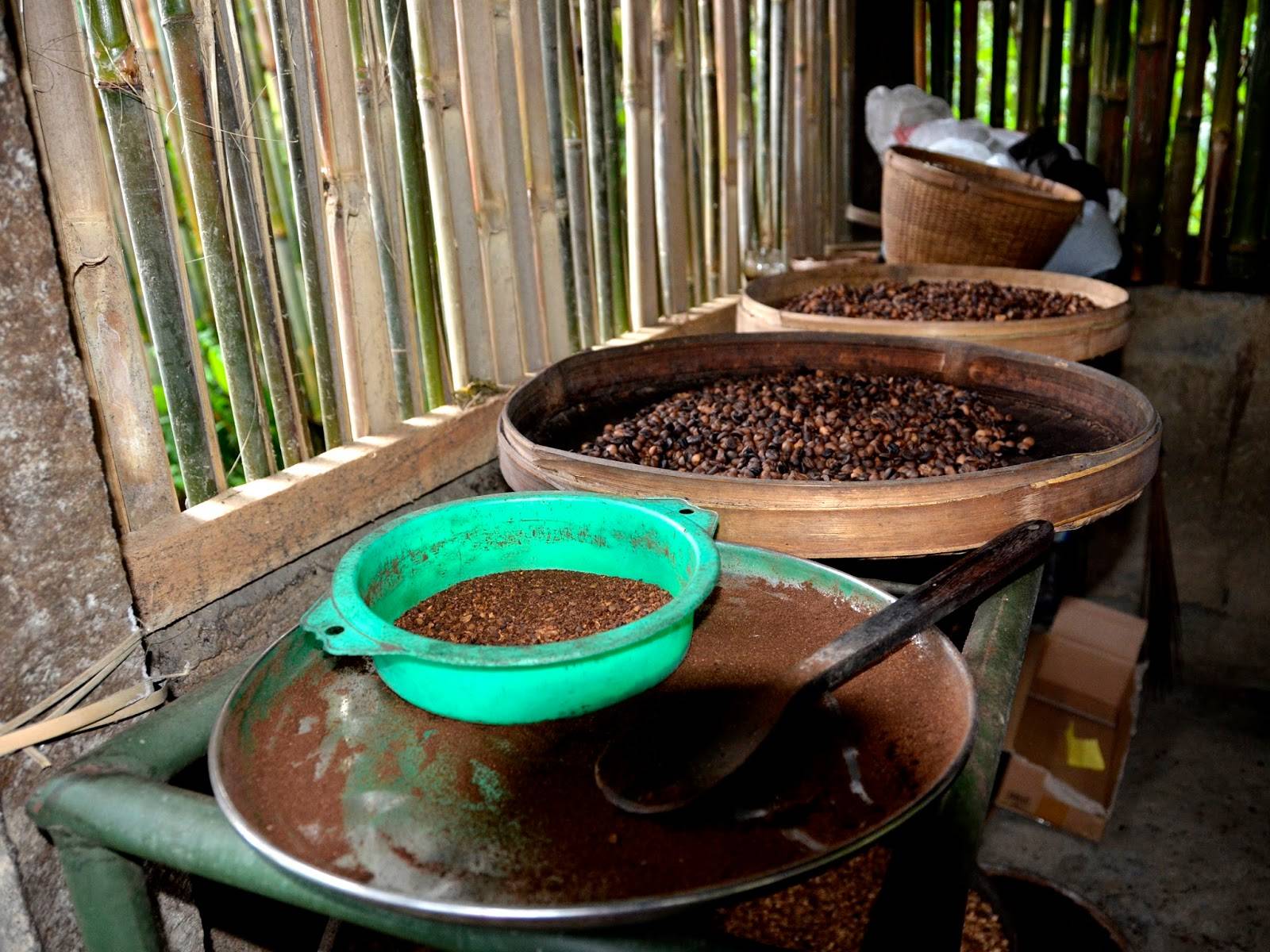 Самый дорогой кофе в мире или как делают кофе лювак (копи лувак)