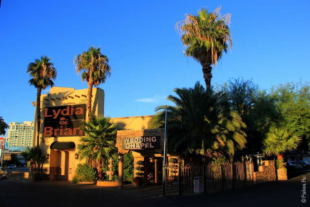 Mojovillage Las Vegas