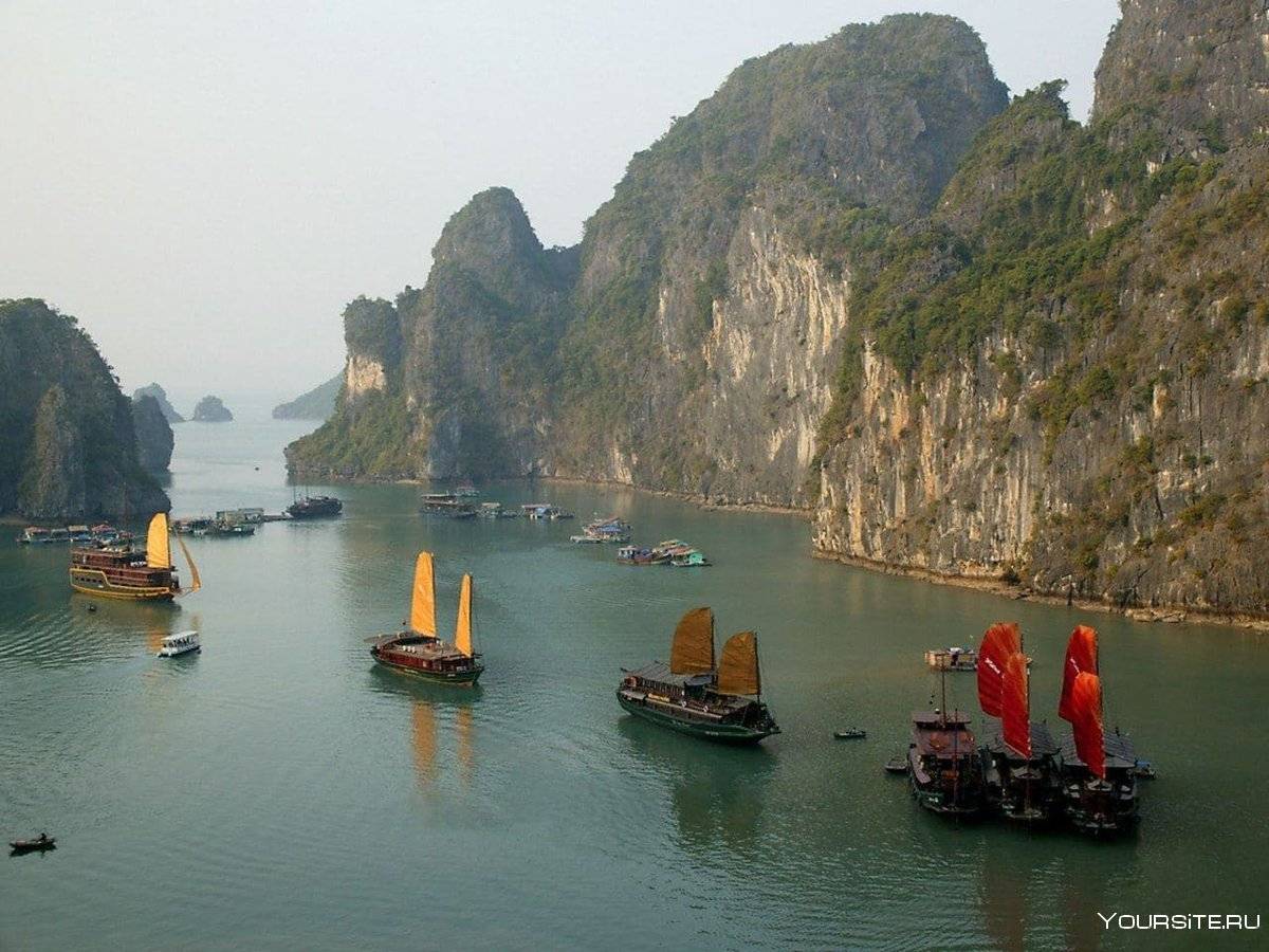 Бухта халонг во вьетнаме: описание, фото