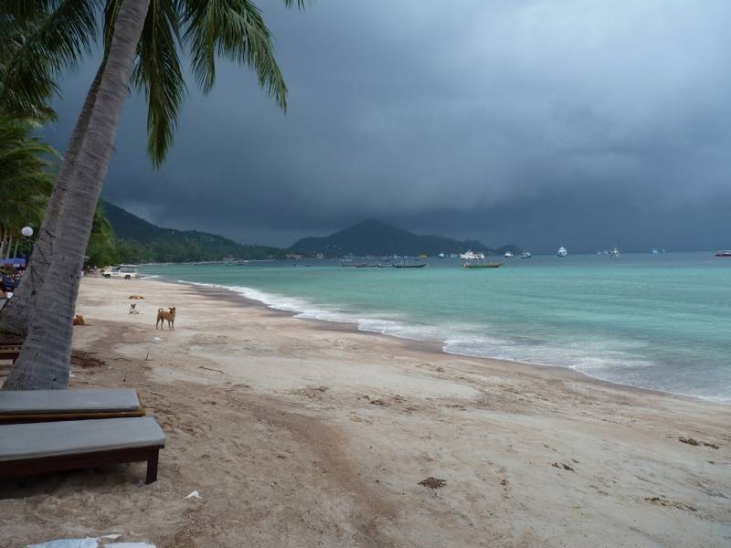 Отдых и погода в таиланде в ноябре 2021, отзывы туристов, температура воды и воздуха
