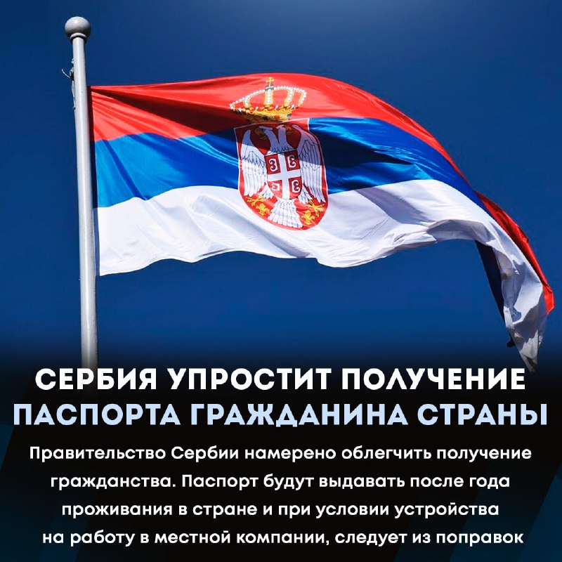 Гражданство сербии для россиян: способы получения и документы