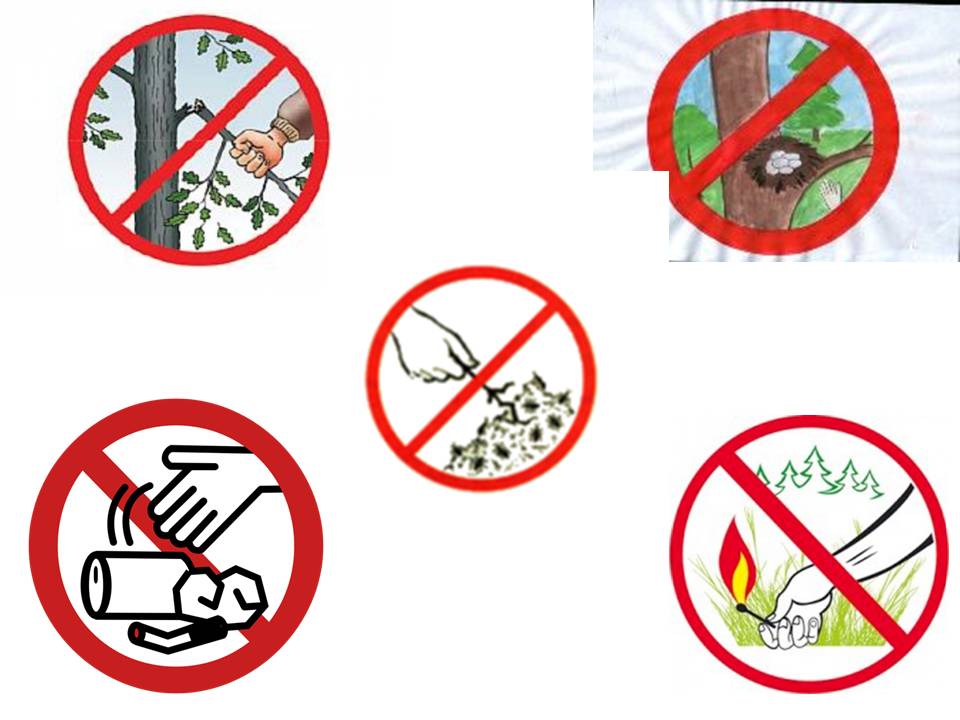 Воскресенье что можно делать что нельзя. Запрещающие знаки в лесу. Запрещающие знаки в Леву. Экологические знаки. Запретные знаки в природе.