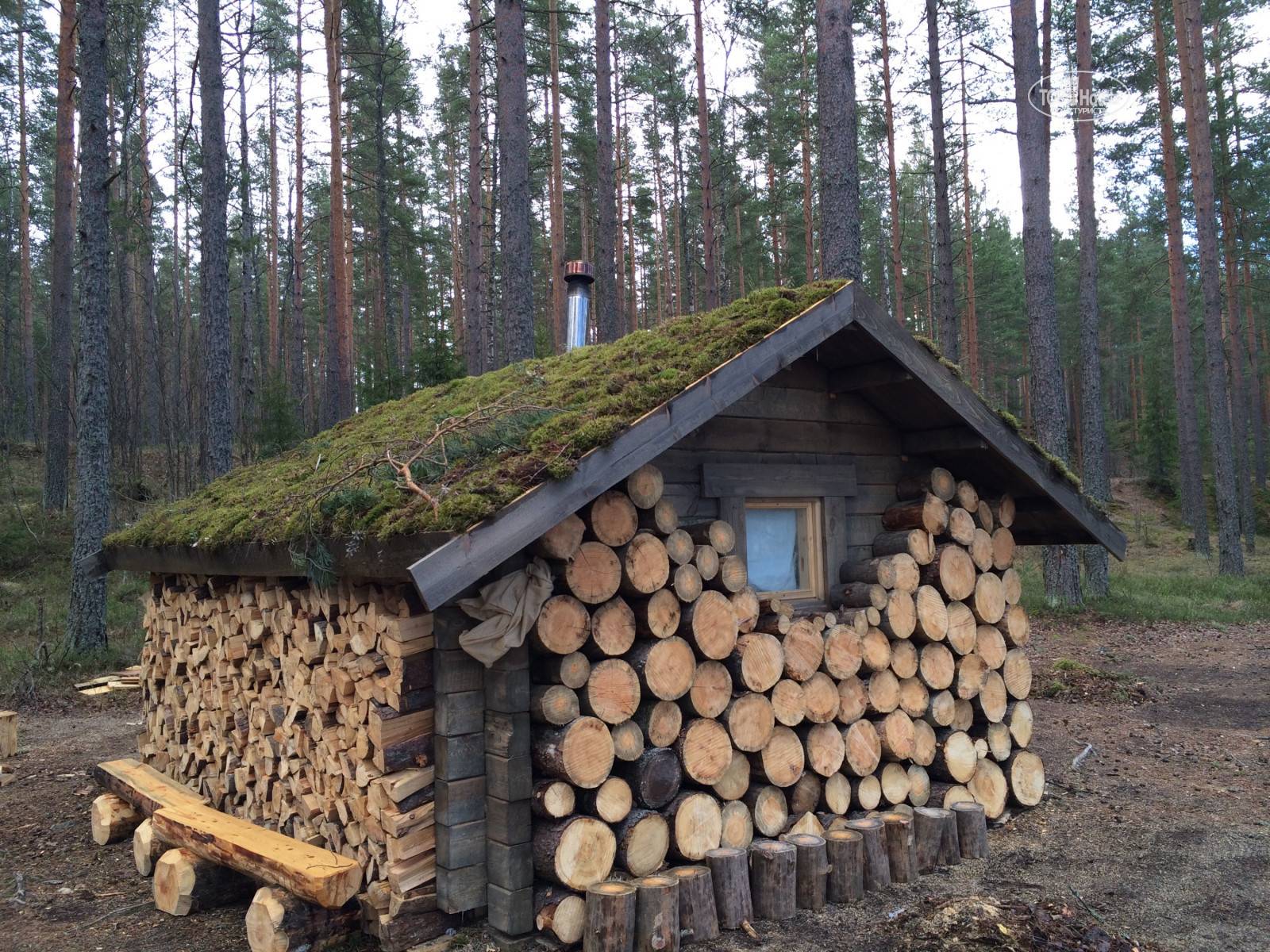 эко отель в лесу