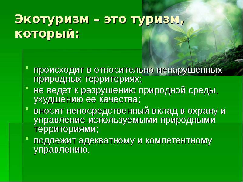 Какие существуют виды туризма в россии: экотуризм, пеший