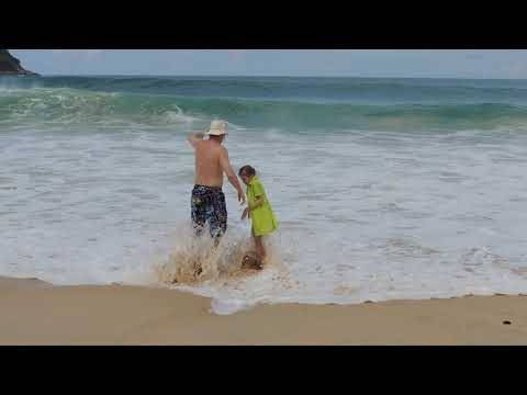 Акулы в таиланде: опасные пляжи и защита от нападений