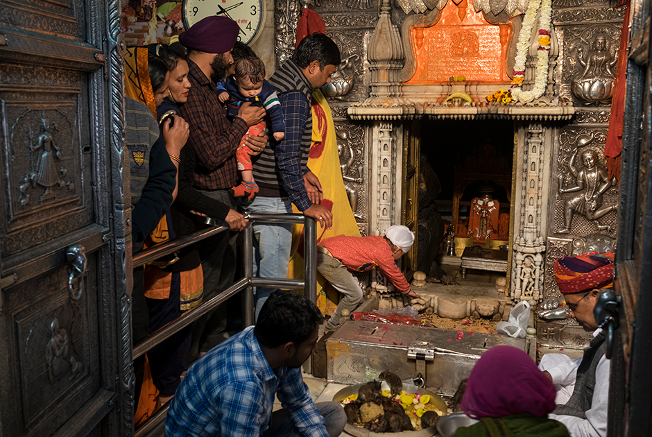Почему в индийском храме карни мата почитают крыс