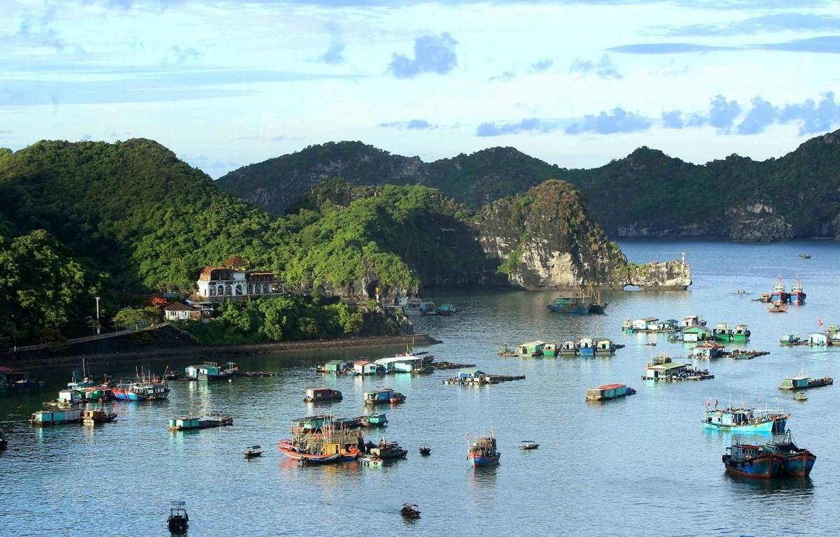 Полезная информация о вьетнаме — туровед