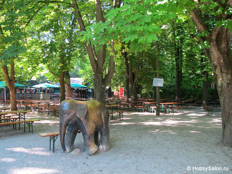 Гамбургский зоопарк гагенбека — rovdyr dreams