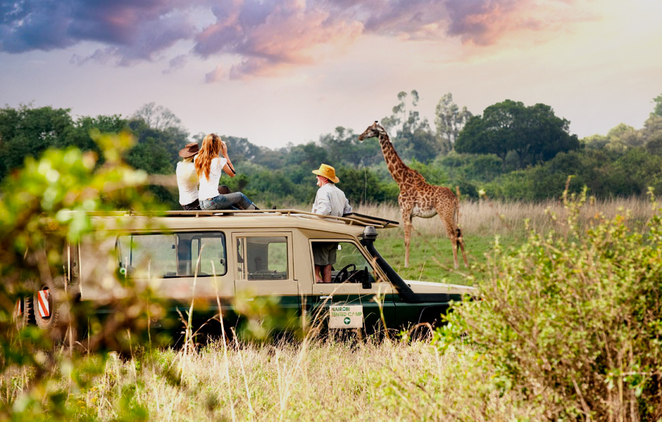 Que significa safari